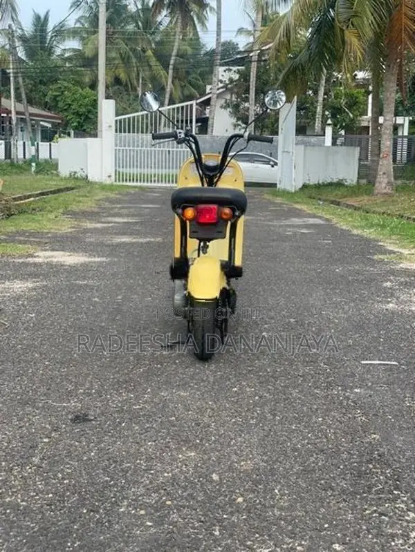 Suzuki Choi Nori 2022