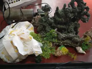 Fish Tank Set