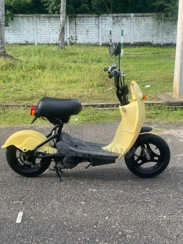 Suzuki Choi Nori 2022
