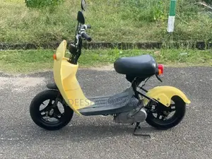 Suzuki Choi Nori 2022