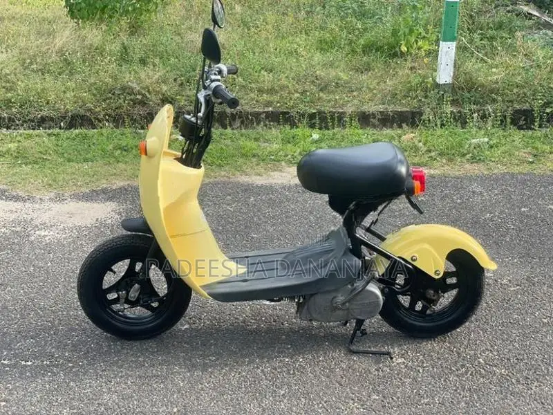 Suzuki Choi Nori 2022