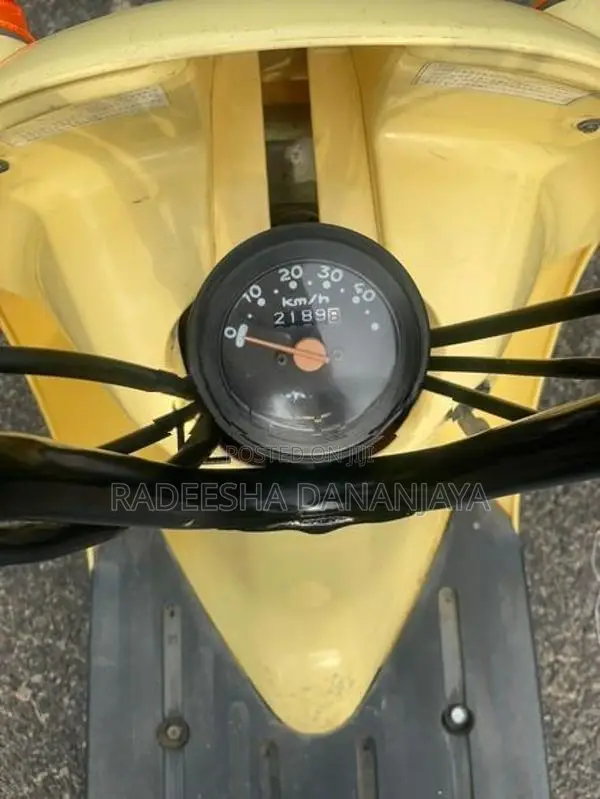 Suzuki Choi Nori 2022