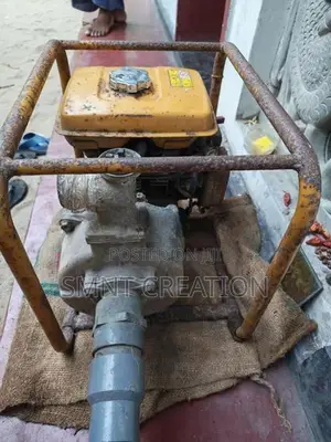 Water Pump Robin