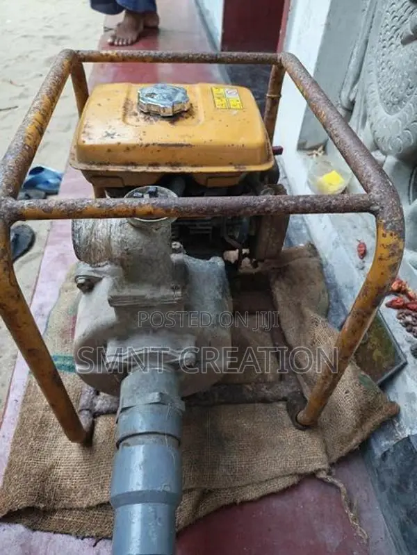 Water Pump Robin