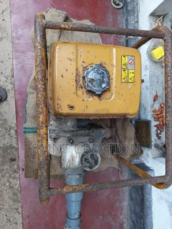 Water Pump Robin