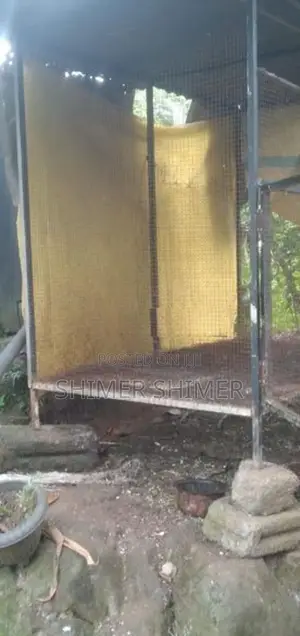 Brids Cage