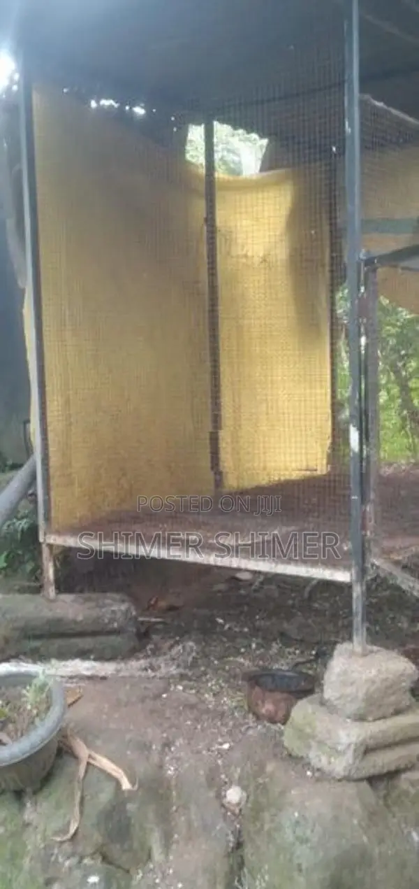 Brids Cage