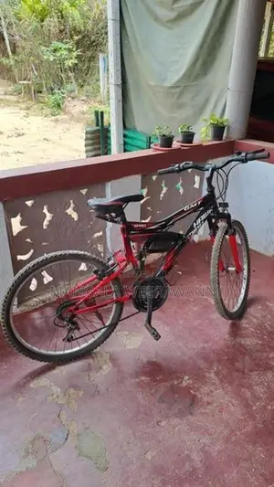 Gear Bicycle