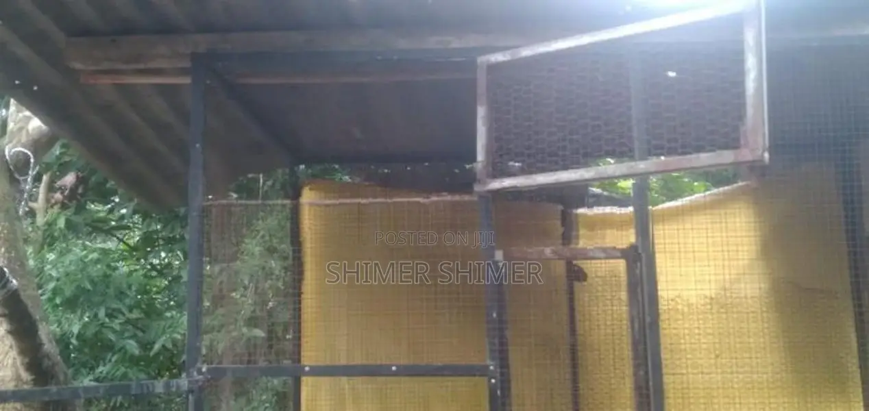 Brids Cage