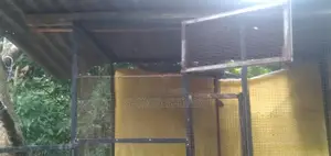 Brids Cage