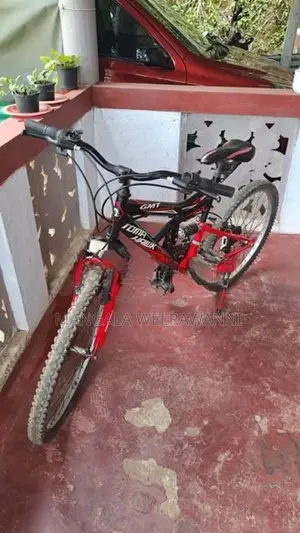 Gear Bicycle