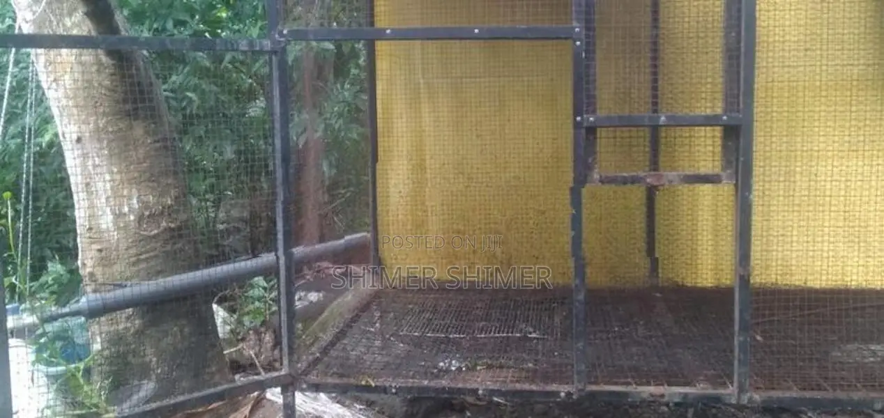 Brids Cage