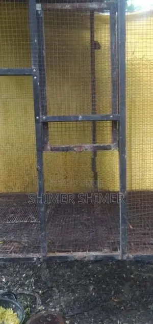 Brids Cage
