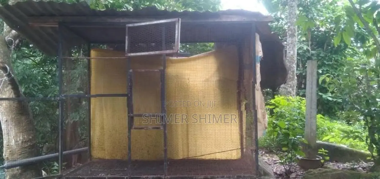 Brids Cage