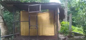Brids Cage