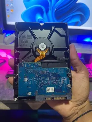 500GB Desktop Hard Disk