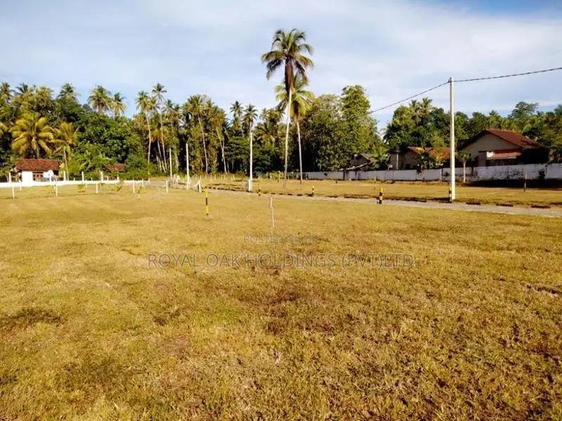 Land Sale දන්කොටුව