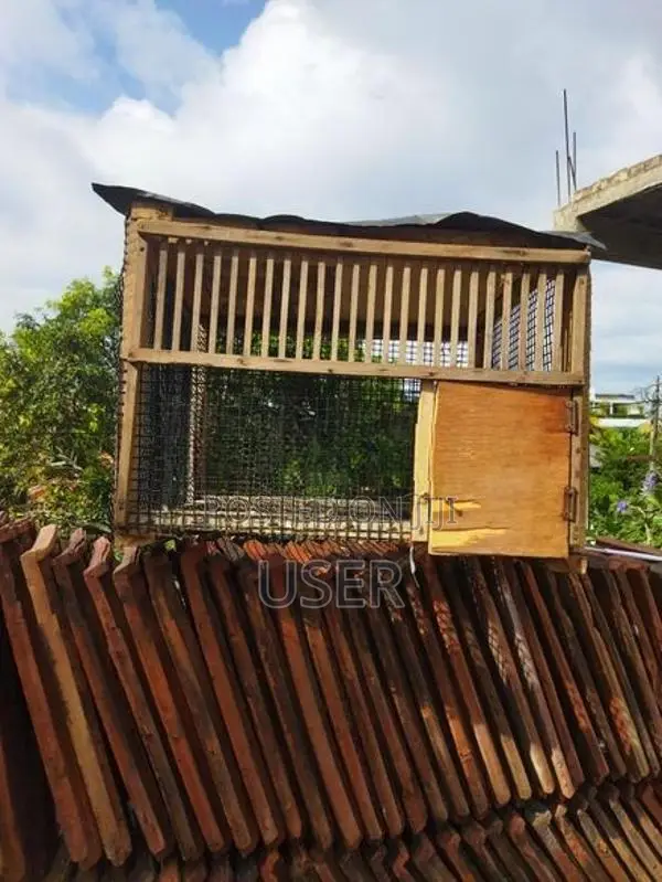 cage