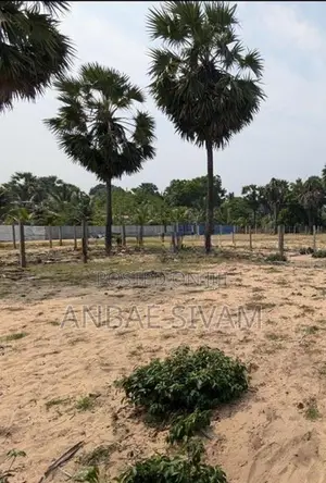 புதிய எல்லலை வீதி, கருவேப்பங்கேணி, மட்டக்களப்பு காணி விற்பனைக்கு