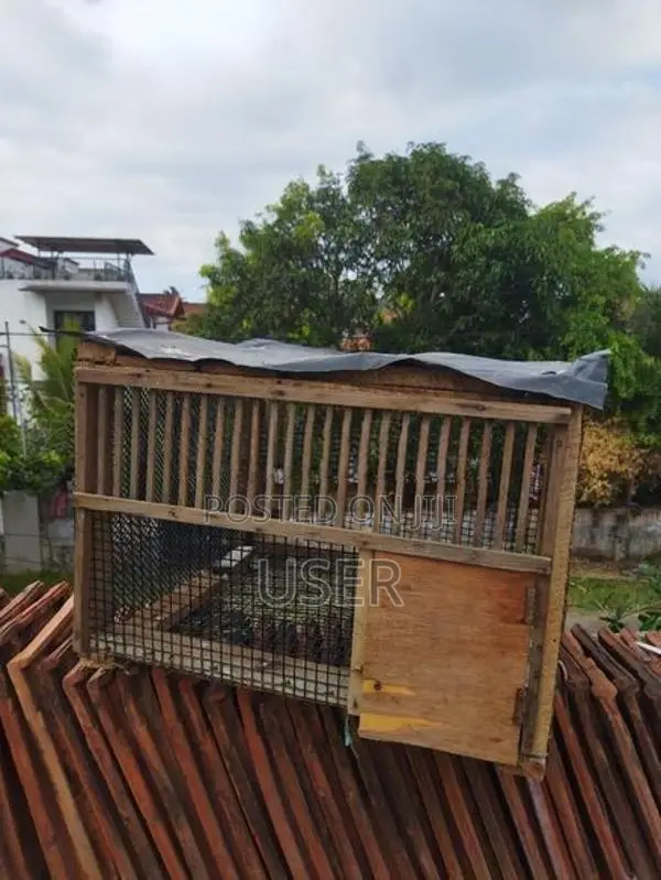 cage