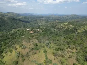 Valuable Land for Sale in Ella