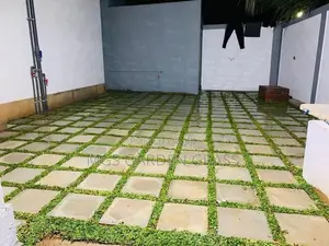 Malaysian Grass