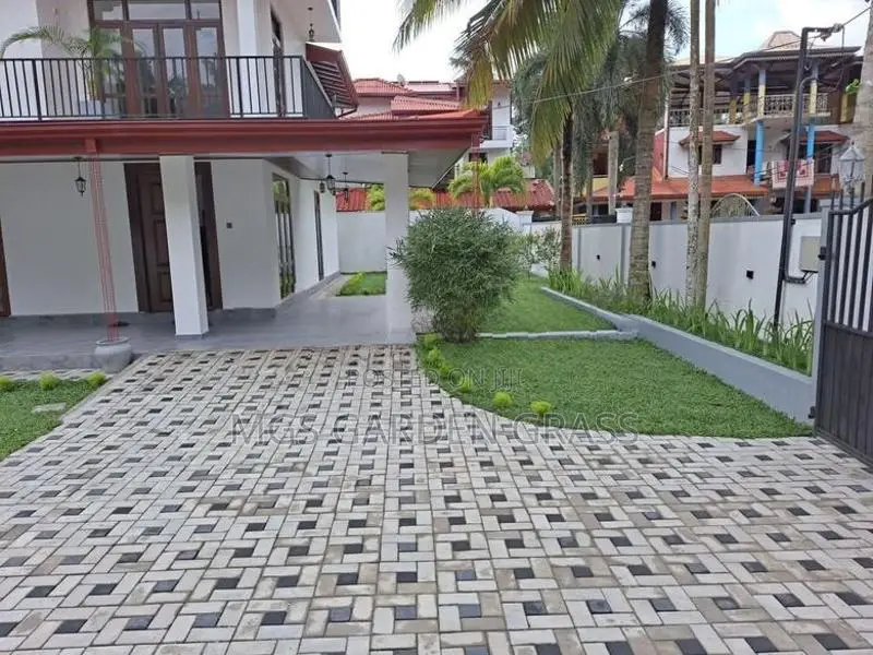 Malaysian Grass