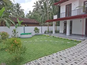 Malaysian Grass