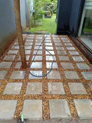 Malaysian Grass