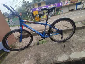 Tomahawk Bicycle