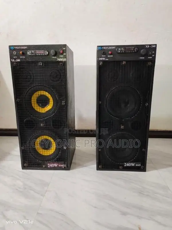 Active PA Party Speaker System