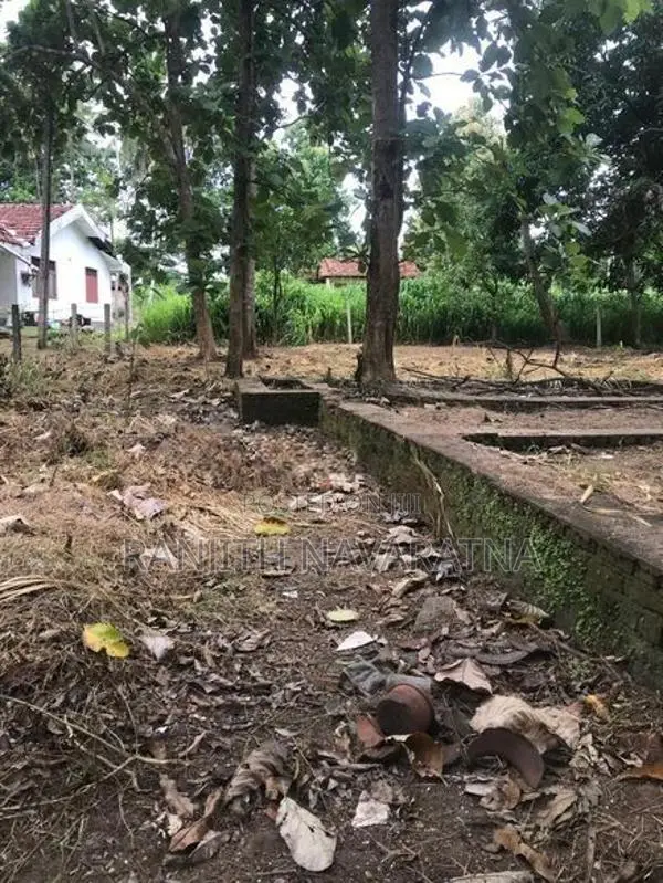 Kuliyapitiya Land for Sale