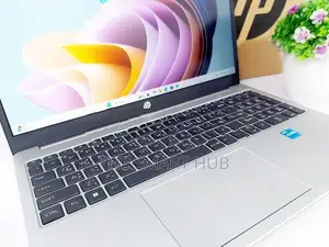 HP Core i3 13th Gen 8GB RAM 256GB NVME Professional Laptop