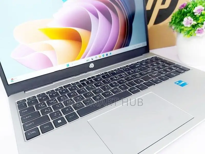 HP Core i3 13th Gen 8GB RAM 256GB NVME Professional Laptop