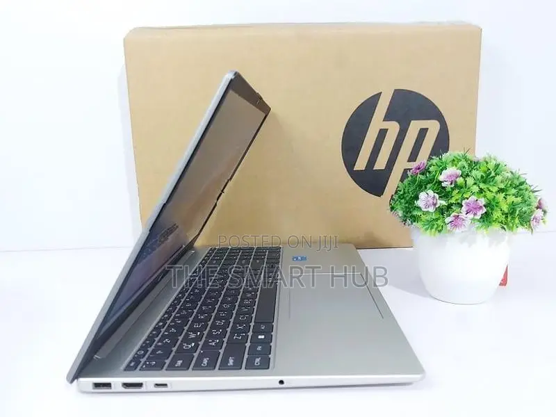 HP Core i3 13th Gen 8GB RAM 256GB NVME Professional Laptop