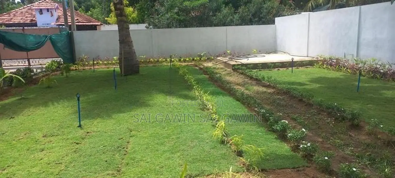 Australian Grass