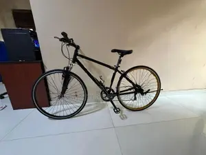 Single Bicycle