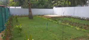 Australian Grass
