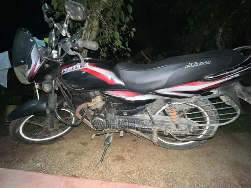 Bajaj Platina 2010