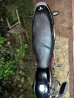 Bajaj Platina 2010