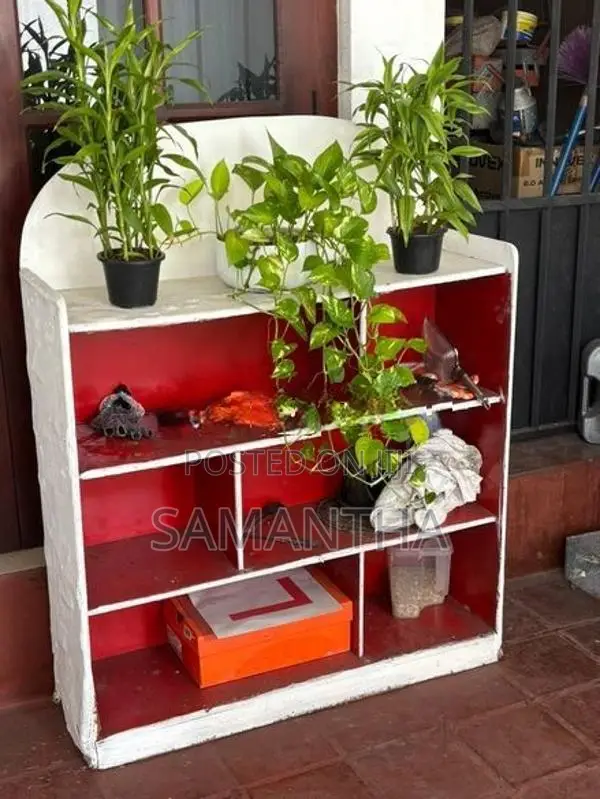 Book Rack