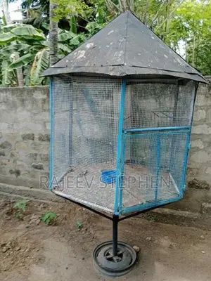 பயன்படுத்தப்பட்டது