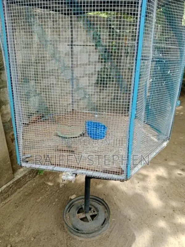 பயன்படுத்தப்பட்டது