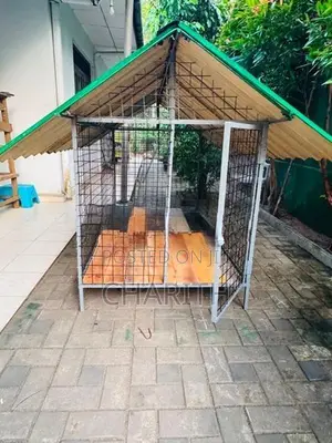 Dog Cage
