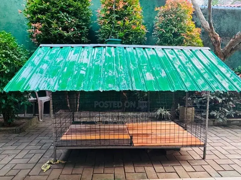 Dog Cage