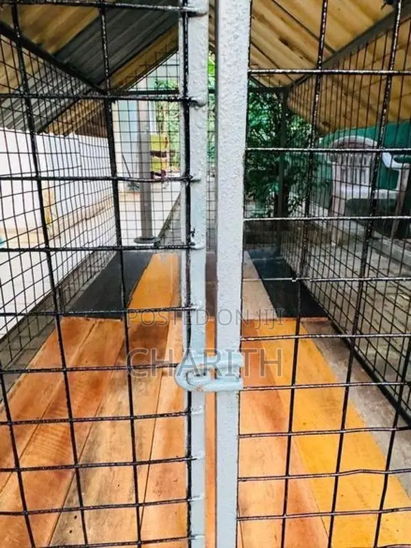 Dog Cage