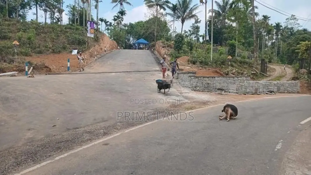 Land for Sale in Nawalapitiya