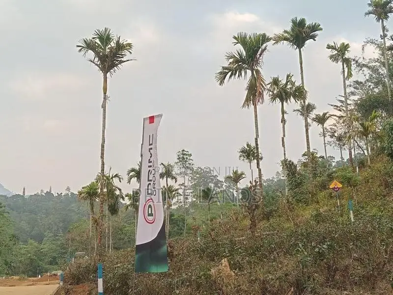 Land for Sale in Nawalapitiya