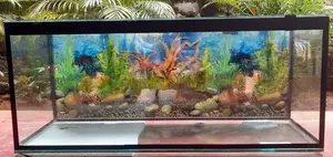 48×18×20 Brand New Fish Tank