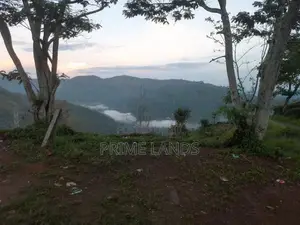 Valuable Land for Sale in Pudaluoya